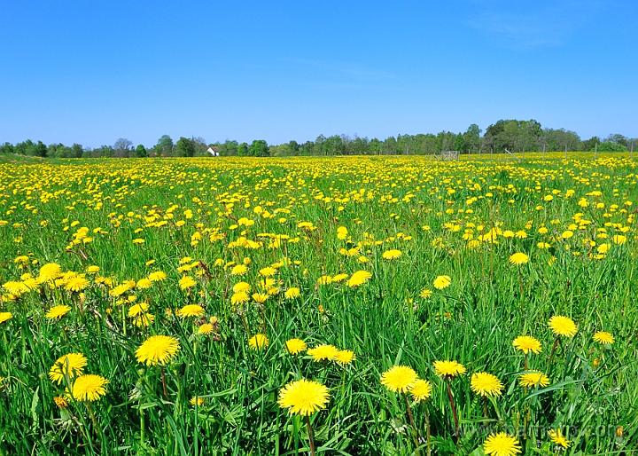 120523_sommar.jpg - Sommar23 maj