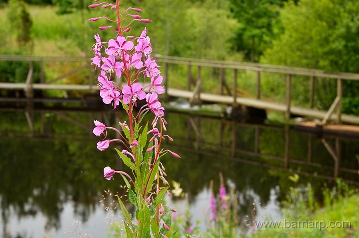 120707_rallaros.jpg - Rallaros