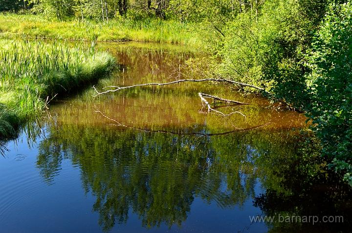 120827_torsvik.jpg - Torsviksån