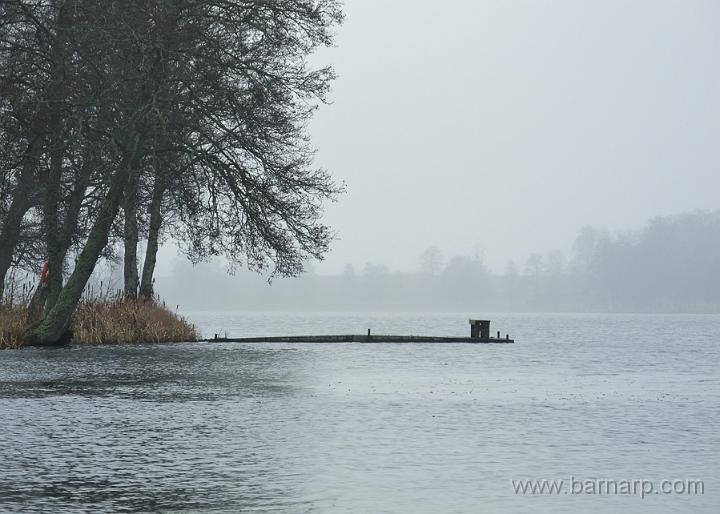 121121_barnarpasjon.jpg - Barnarpasjön november