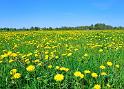 120523_sommar