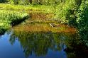 120827_torsvik