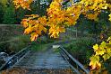 121008_torsvik