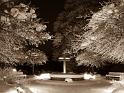 121213_barnarp
