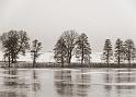 121229_barnarpasjon