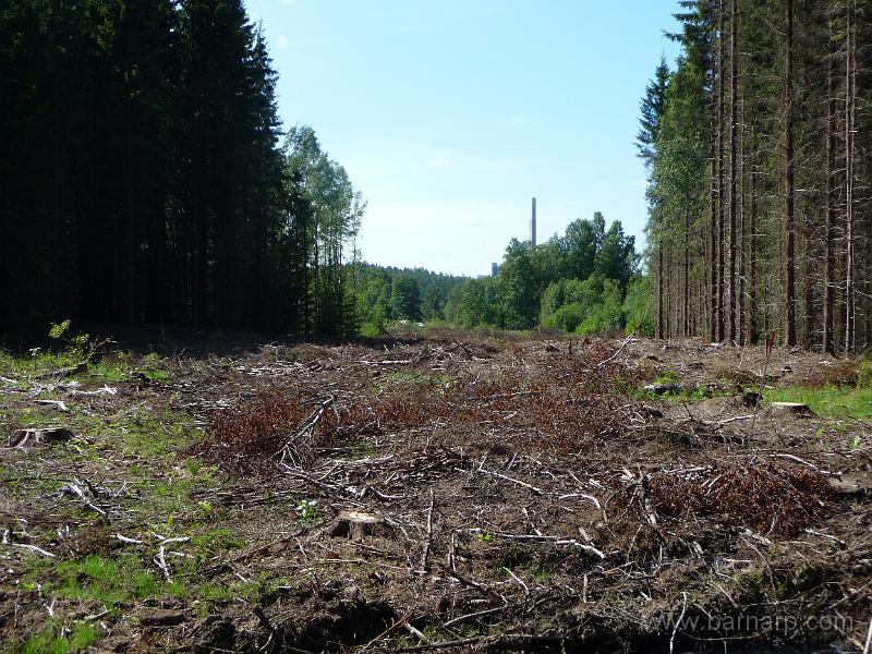 P1080105.JPG - Bild tagen på samma ställe men vänd västerut.