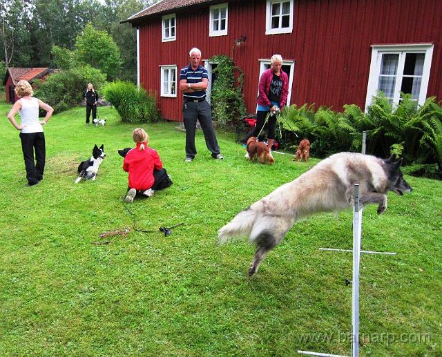 28.jpg - Hindren klaras lätt