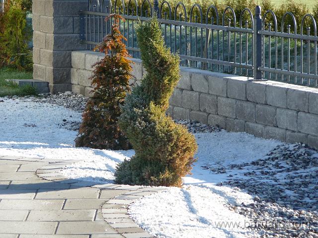 P1050344.JPG