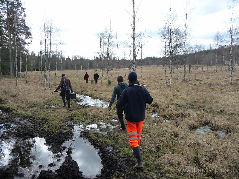 P1080648.JPG - Här börjar vandringen ut över kärret.